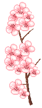 CherryBlossomBranch.gif
